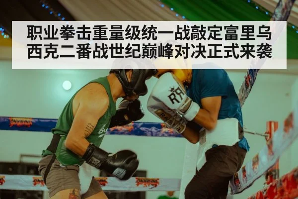 职业拳击重量级统一战敲定富里乌西克二番战世纪巅峰对决正式来袭