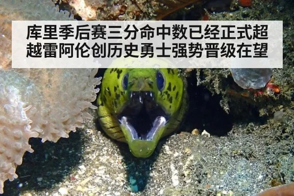 库里季后赛三分命中数已经正式超越雷阿伦创历史勇士强势晋级在望